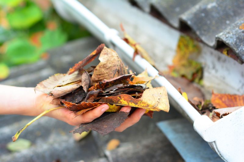 Gutter Debris Removal